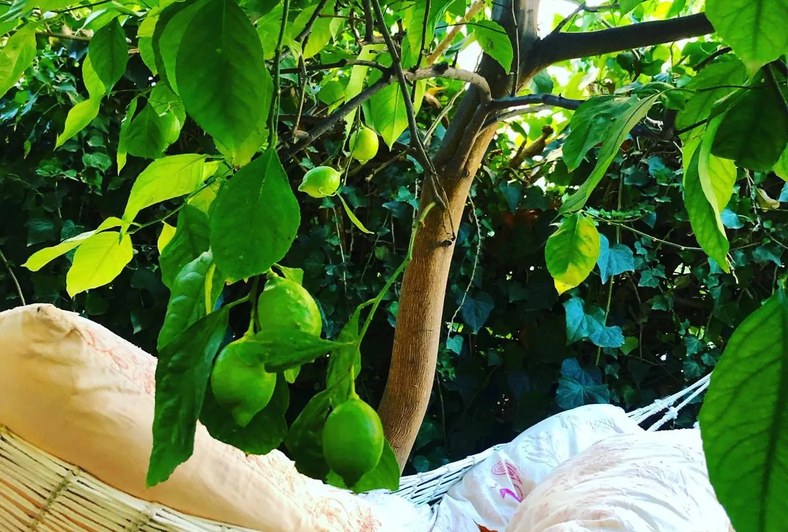 منزل للإقامة Penelope B&B باليرمو