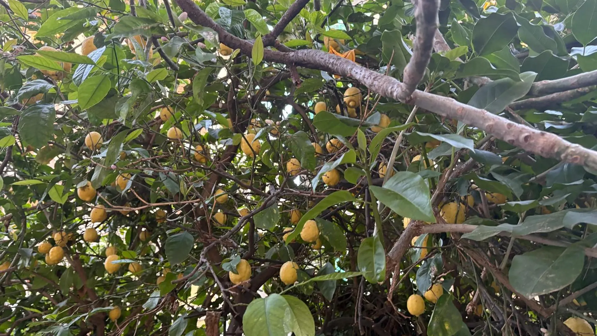 Privatunterkunft Penelope B&B Palermo