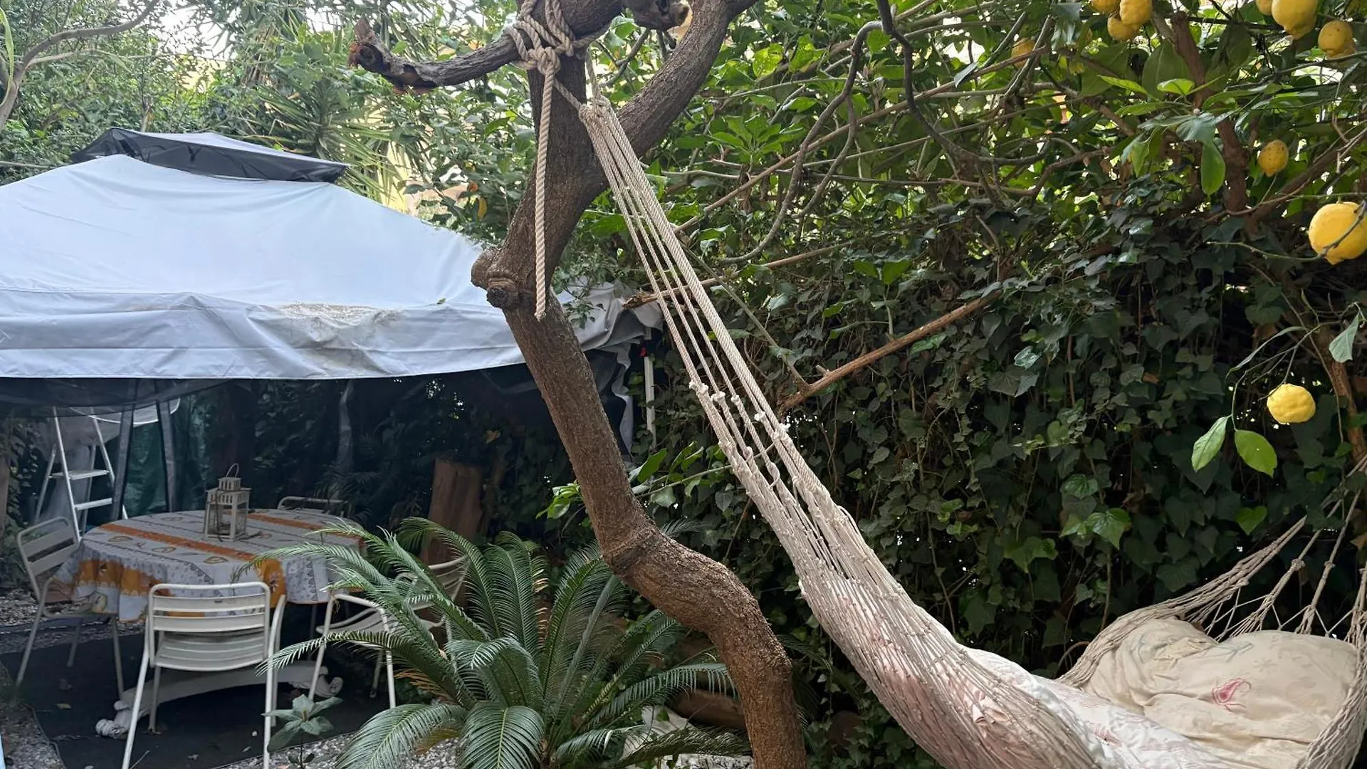 Penelope B&B Palermo Privatunterkunft
